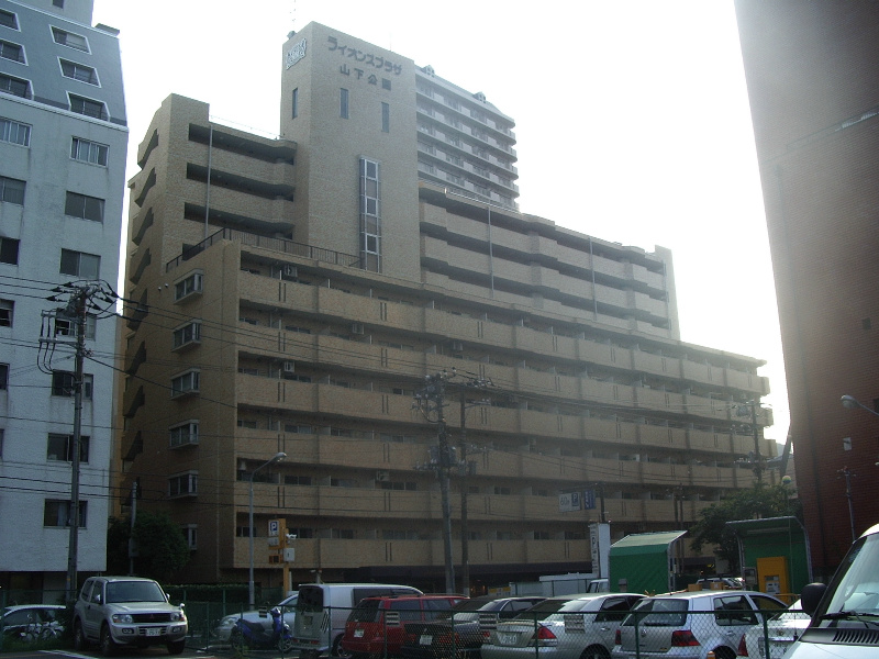 IMGP2782.jpg