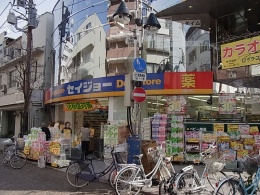 コーポ小杉 ドラッグストア：セイジョー新丸子店　780m