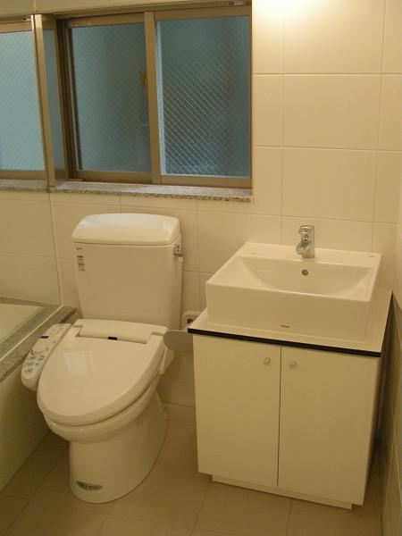 GRAND SEIKO 元住吉(デザイナーズマンション) トイレと洗面台