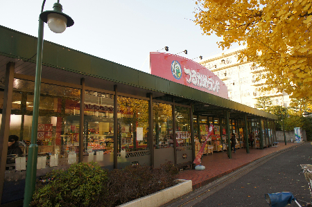 アール志賀 スーパー：つるかめランド青葉台店　160m