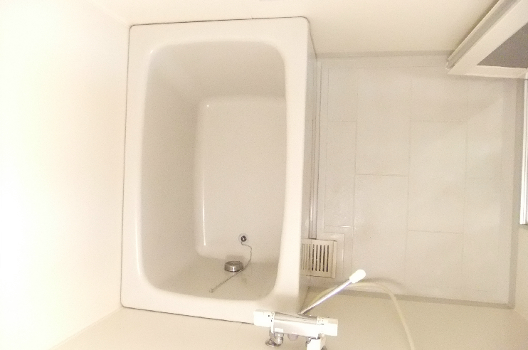 Wald Haus ゆったりした洗い場です。