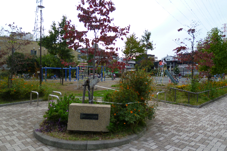 グリーンテラス 公園：樽町しょうぶ公園　180m