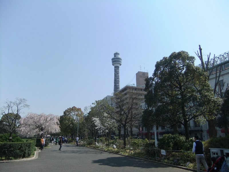 ライオンズプラザ山下公園 近くには山下公園があります。